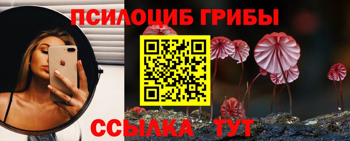 Унеча  Галлюциногенные грибы мухоморы  Вход с VPN 